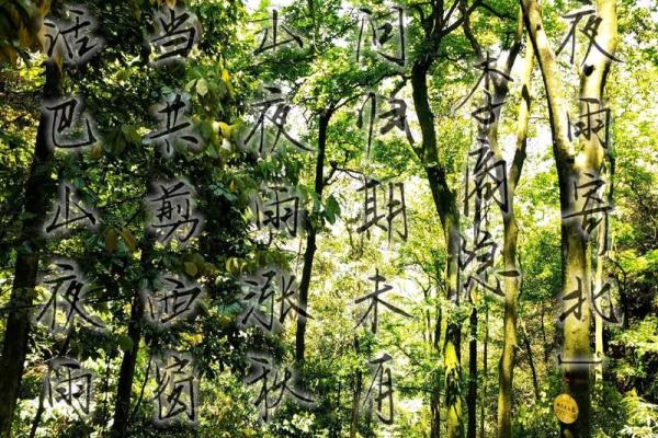 巴山夜雨打一生肖  词语释义解释落实