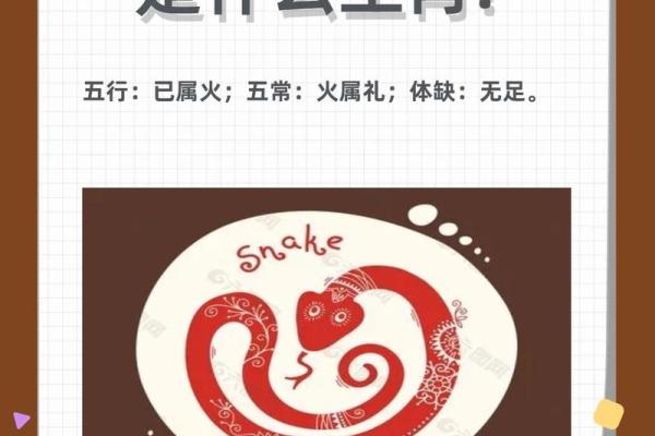 徘徊不前在十二生肖中代表哪个动物  