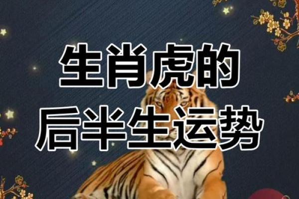 2003年出生的人属什么生肖，今年运势如何  