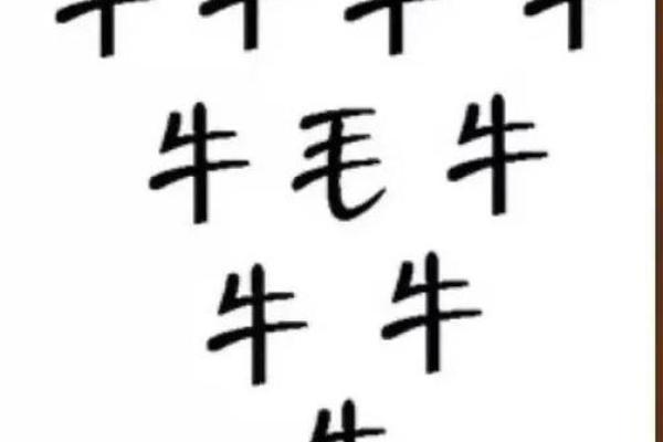 九牛一毛打一生肖答案及详细解析  