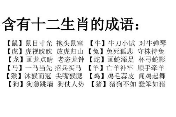 千载难逢开过什么生肖  词语释义解释落实