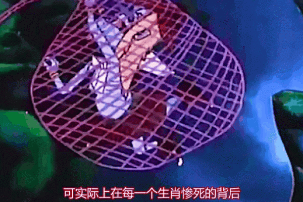 穿街过巷代表哪个生肖民间传说和文化寓意  