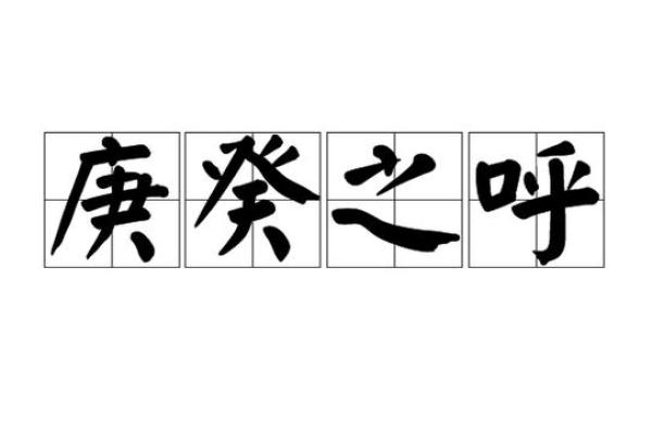 呼庚呼癸打一生肖  词语释义解释落实