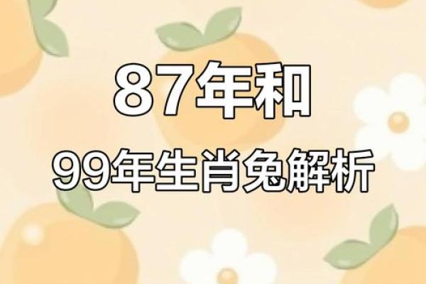 87年属相查询方法及生肖年份对照表  