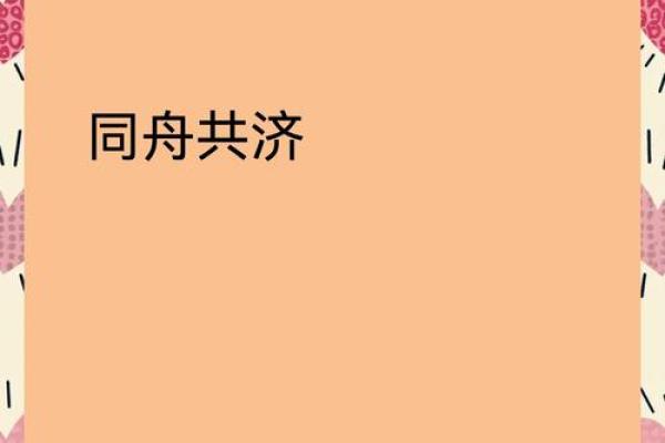 同舟共济打一正确生肖  词语释义解释落实