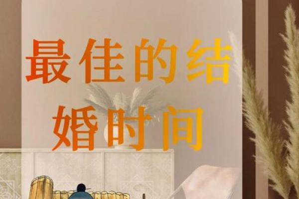 免费提供生辰八字结婚吉日查询服务，想知道具体操作步骤和得把眼睛擦亮了有哪些？