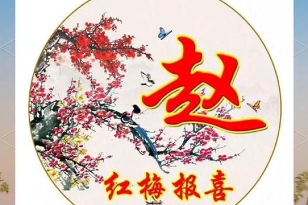 惦念家中一支梅代表什么生肖 如何解读家中一支梅的生肖寓意  