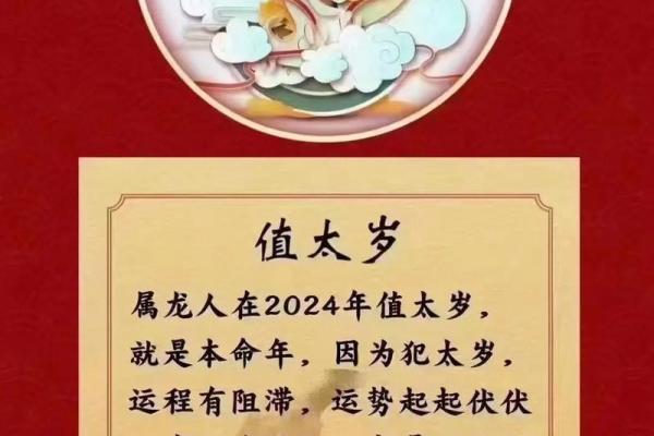 2024年哪些生肖运势得天独厚适合投资创业  