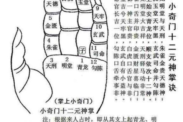 朱雀宫深打一生肖的谜底解析及文化背景  