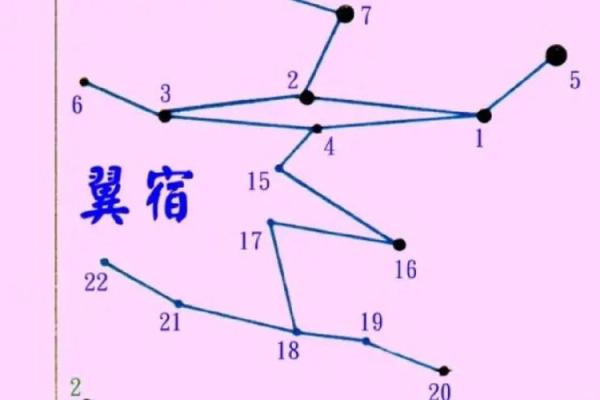 朱雀宫深打一生肖的谜底解析及文化背景  