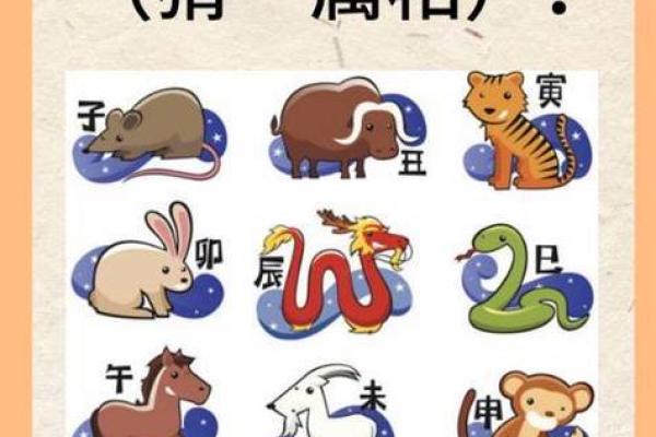 心狠手辣在十二生肖中代表哪个动物最符合这种性格特征  