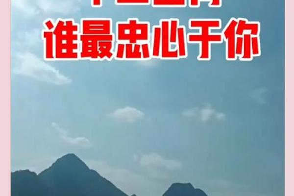 心狠手辣在十二生肖中代表哪个动物最符合这种性格特征  