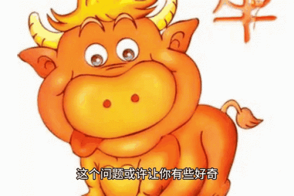 神不守舍对应的生肖动物有哪些寓意和象征  