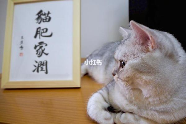 坐吃享福是什么动物  词语释义解释落实