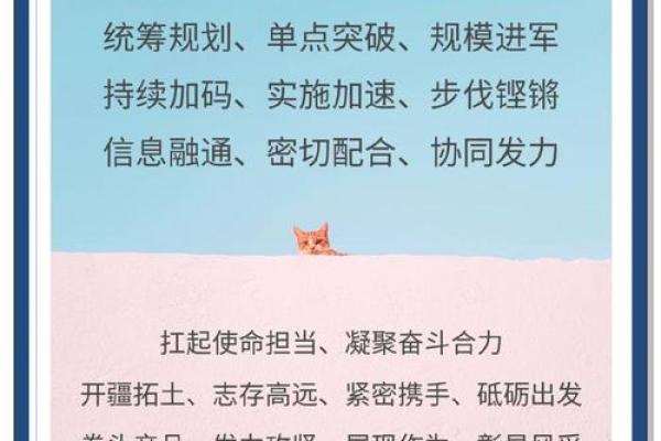 情深似海猜一生肖  词语释义解释落实