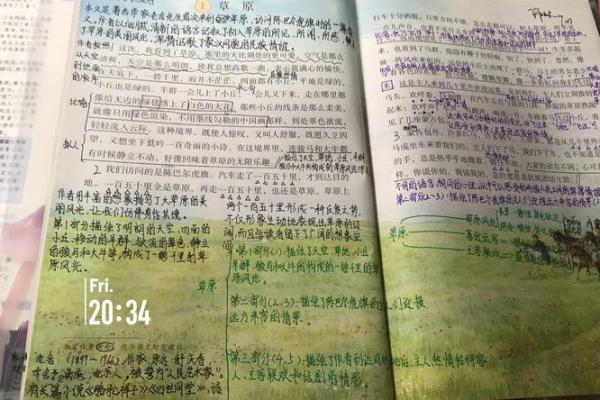 情深似海猜一生肖  词语释义解释落实