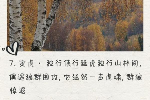 一生好胜的生肖有哪些 如何改善冲动性格提升人际关系  