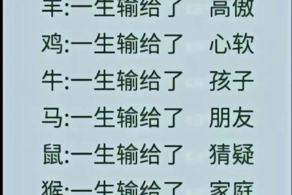 手疾眼快的动物在十二生肖中代表哪个生肖  