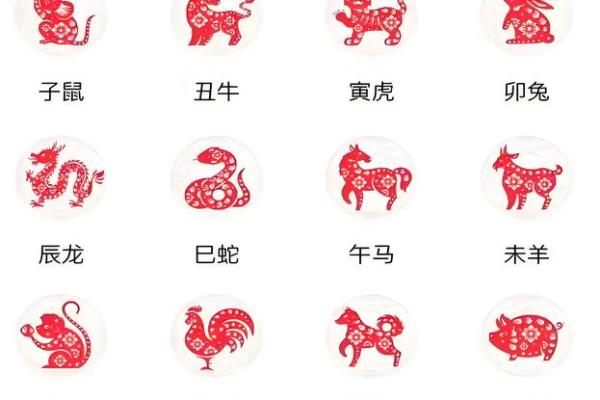 牧猪奴戏打一最佳生肖  词语释义解释落实