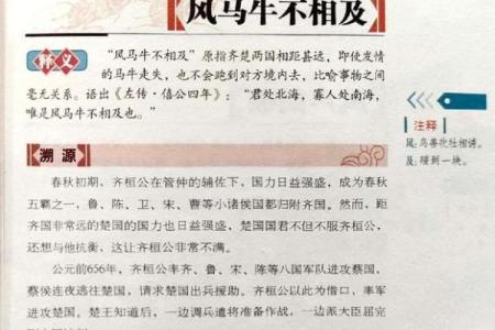 风声鹤唳打一生肖  词语释义解释落实