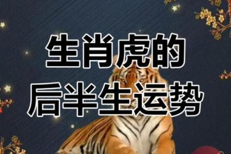 2003年出生的人属什么生肖，今年运势如何  