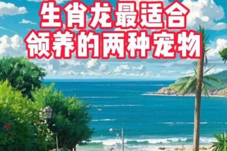 胆大心细的人适合养什么生肖宠物最旺运  