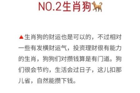 美好生活是什么生肖  词语释义解释落实