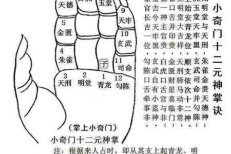 朱雀宫深打一生肖的谜底解析及文化背景  