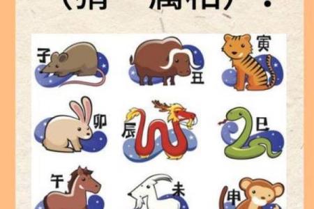 心狠手辣在十二生肖中代表哪个动物最符合这种性格特征  