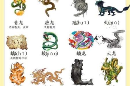 三番四次在十二生肖中代表哪个动物  
