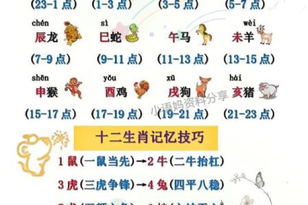 天肖地肖具体包括哪些生肖及其含义解析  