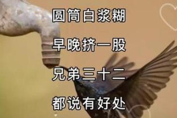 夕阳西下打一准确生肖  词语释义解释落实