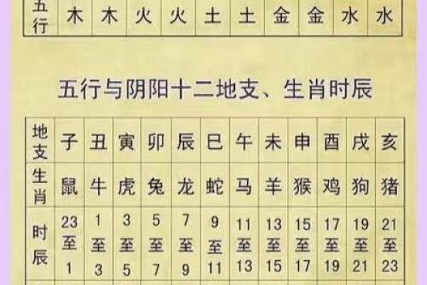 1945年属相是什么生肖以及五行命理解析  