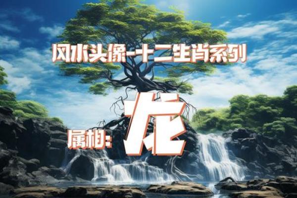 大地万物打一个生肖的谜底是什么  
