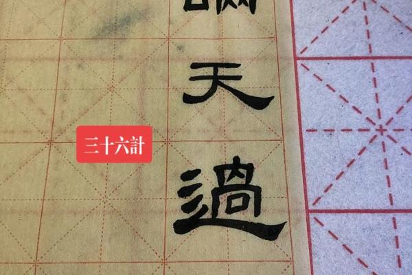 瞒天过海指的是哪个生肖有什么寓意  