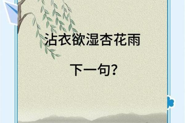 杏花春雨打一生肖  词语释义解释落实