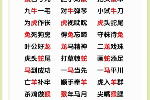 祖宗家法是什么生肖  词语释义解释落实