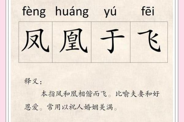朝朝暮暮打一生肖  词语释义解释落实