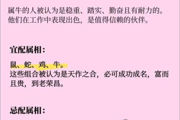 属龙男最佳婚配属相  词语释义解释落实