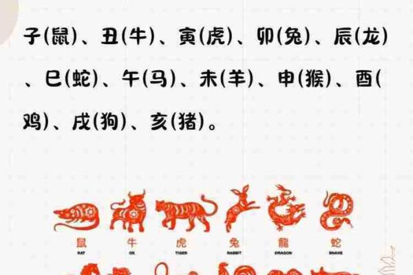 装死卖活指的是哪个生肖的性格特点  