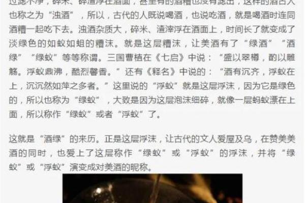 灯红酒绿打一生肖  词语释义解释落实