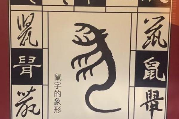 巴山夜雨是什么生肖  词语释义解释落实