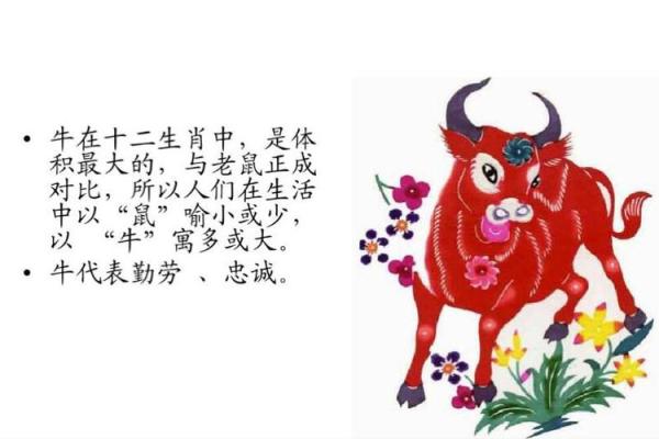 泥鳅在十二生肖中代表哪个动物  