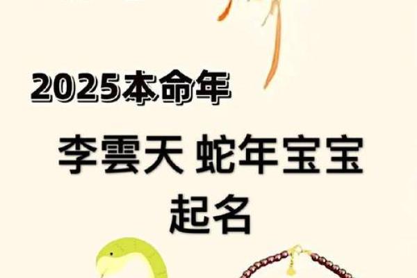 天马行空代表什么生肖 具体解析和象征意义  