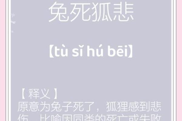 兔死狗烹打一准确生肖  词语释义解释落实