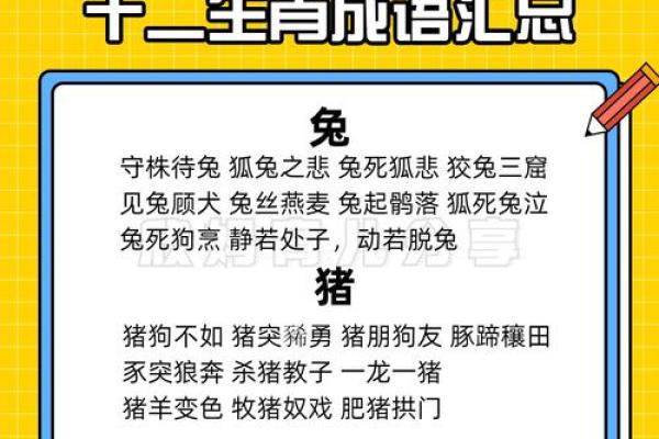兔死狗烹打一准确生肖  词语释义解释落实