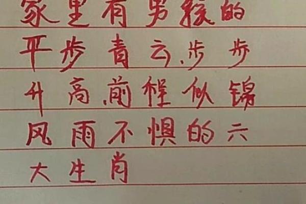 风雨无阻代表什么生肖猜谜技巧和答案解析  