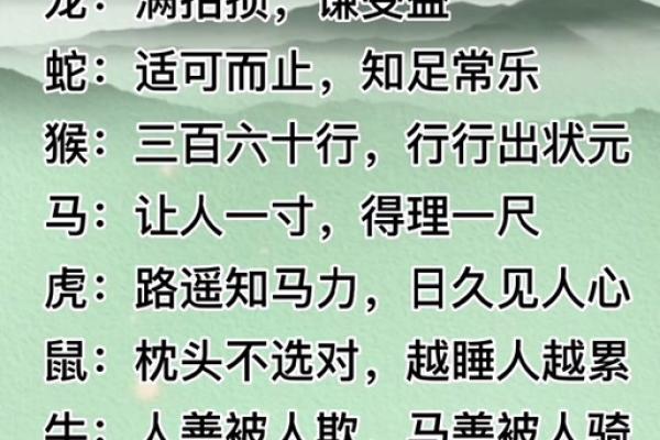嘴上春风打一准确生肖  词语释义解释落实