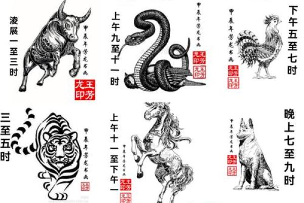 灯火万家在十二生肖中代表哪个动物  