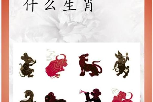 曲高和寡形容哪个生肖 性格特点分析  